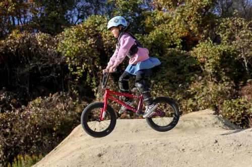 玉川ライオンズクラブ_BMX・MTBチャレンジジャム